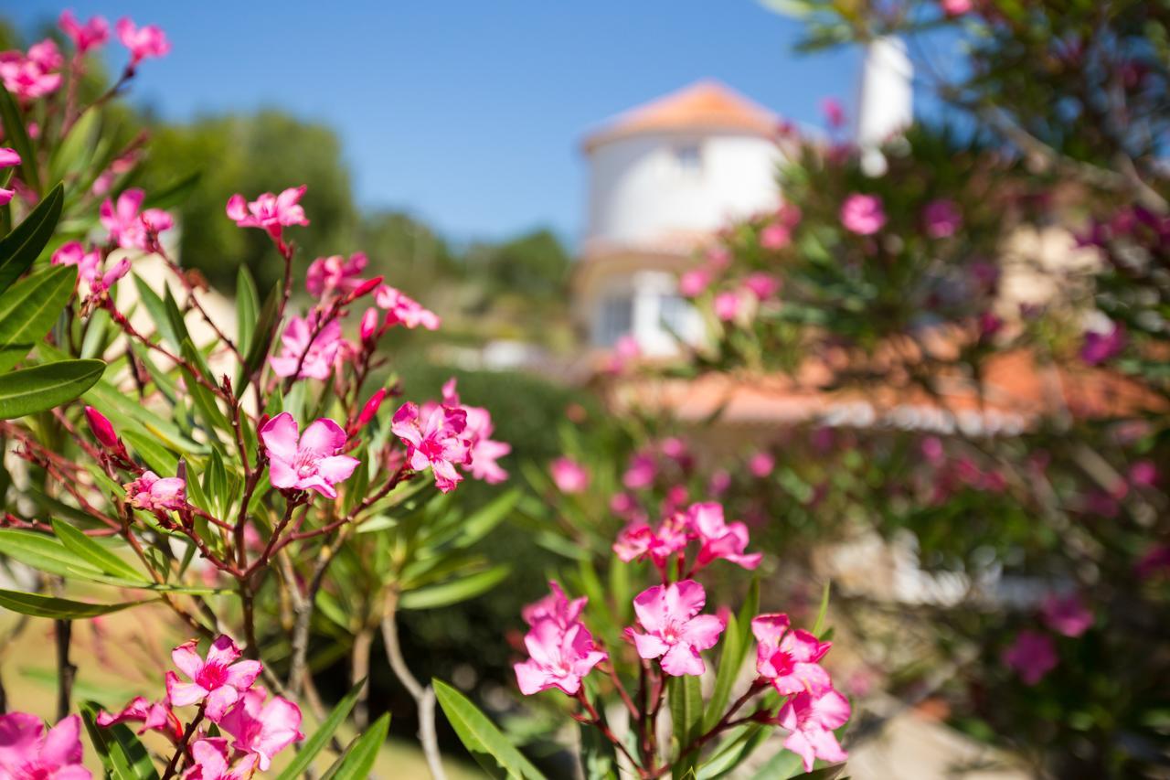 Quinta Do Cabo Guesthouse Azoia  ภายนอก รูปภาพ